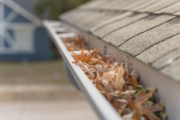 Leaf Barrier Installation in Portland
